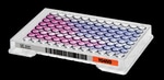Thermo Scientific™ Sensititre™ YeastOne™ YO4IVD AST Plate